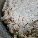 picsart_11-11-05-55-07