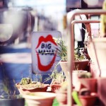 FB_IMG_1455993921265