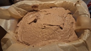 17667369257604600772823656498951